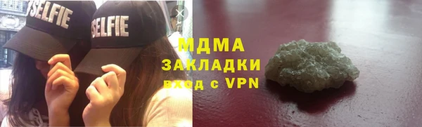 дживик Пересвет