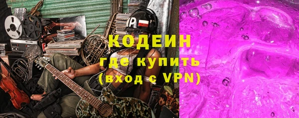 индика Верея