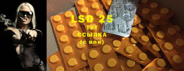 индика Верея