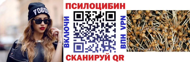 Галлюциногенные грибы Psilocybe  продажа наркотиков  Верхний Уфалей 